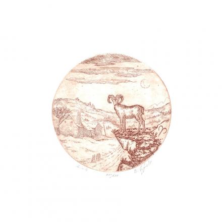 Ariete (Acquaforte), 1978
