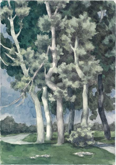 Boschetto di pioppi, 1991
